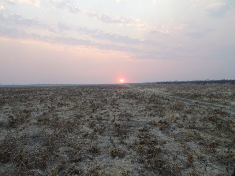 Kalahari Sunset