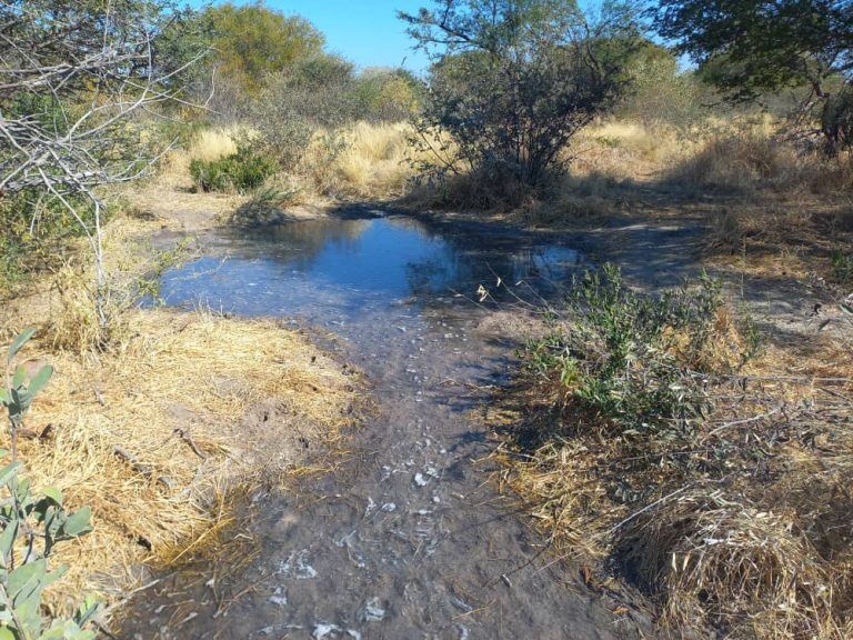 Water Hole Kalahari Safaris